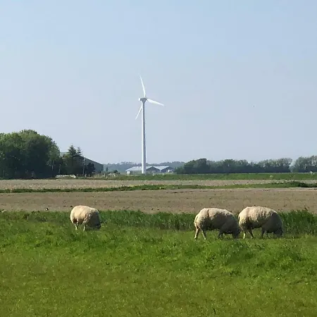 Vogelvrij * Burgerbrug