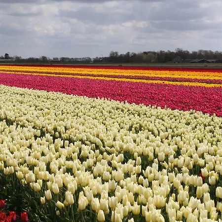 Vogelvrij Burgerbrug