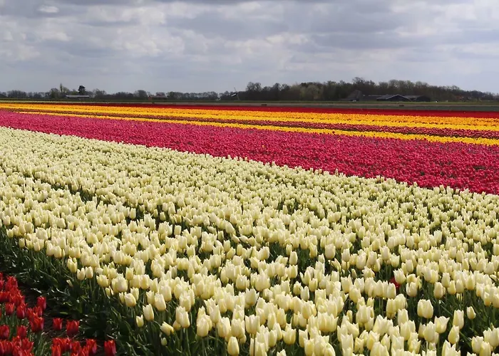 Vogelvrij Burgerbrug